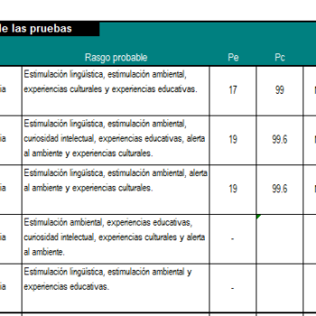 Corrector Wisc Iv Escala De Inteligencia De Wechsler Para Ni Os