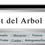 TEST DEL ARBOL