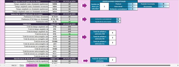 CORRECTOR NEPSY-2