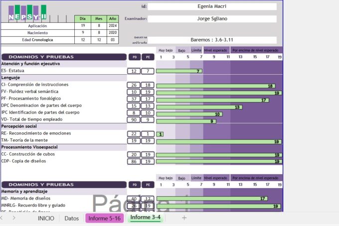 CORRECTOR NEPSY-2