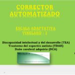 CORRECTOR VINELAND 3 - FORMATO Educadores