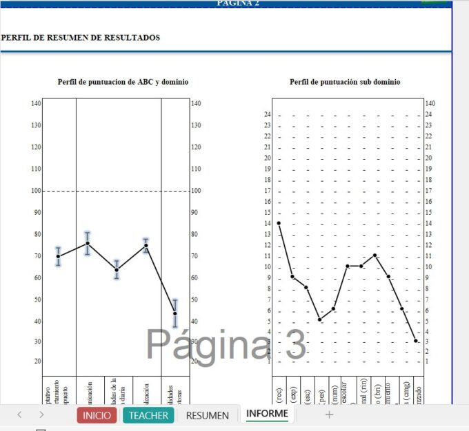 CORRECTOR VINELAND 3 - FORMATO Educadores