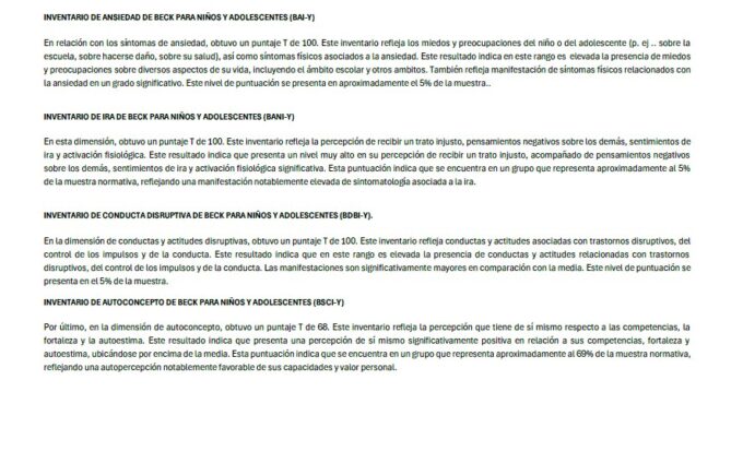 BYI-2 (REPORTE)